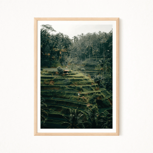 Bali Chromatica Poster - The Globe Gallery
