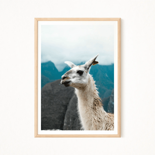 Machu Picchu Chromatica Poster - The Globe Gallery