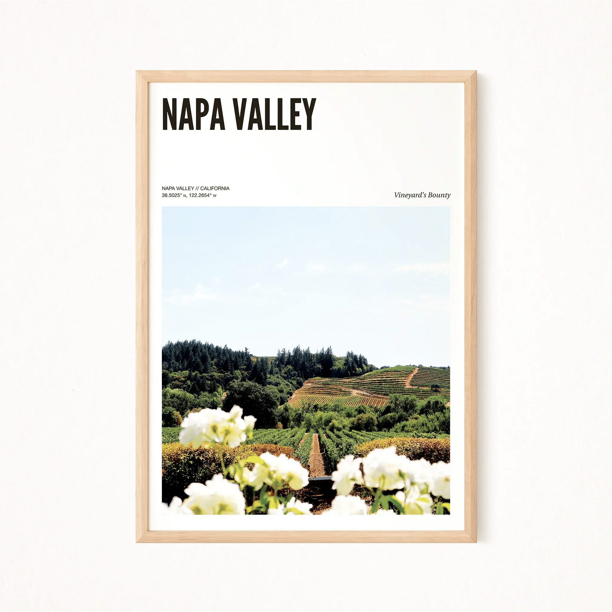 Napa Valley Odyssey Poster - The Globe Gallery