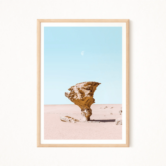 Salar de Uyuni Chromatica Poster - The Globe Gallery