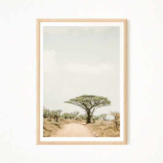 Serengeti Chromatica Poster - The Globe Gallery