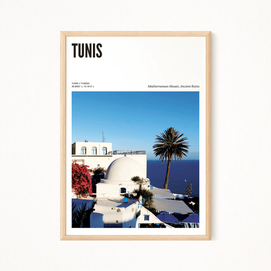 Tunis Odyssey Poster - The Globe Gallery