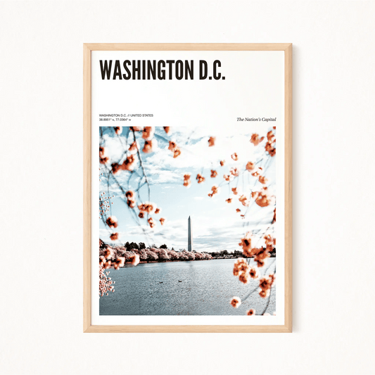 Washington D.C. Odyssey Poster - The Globe Gallery