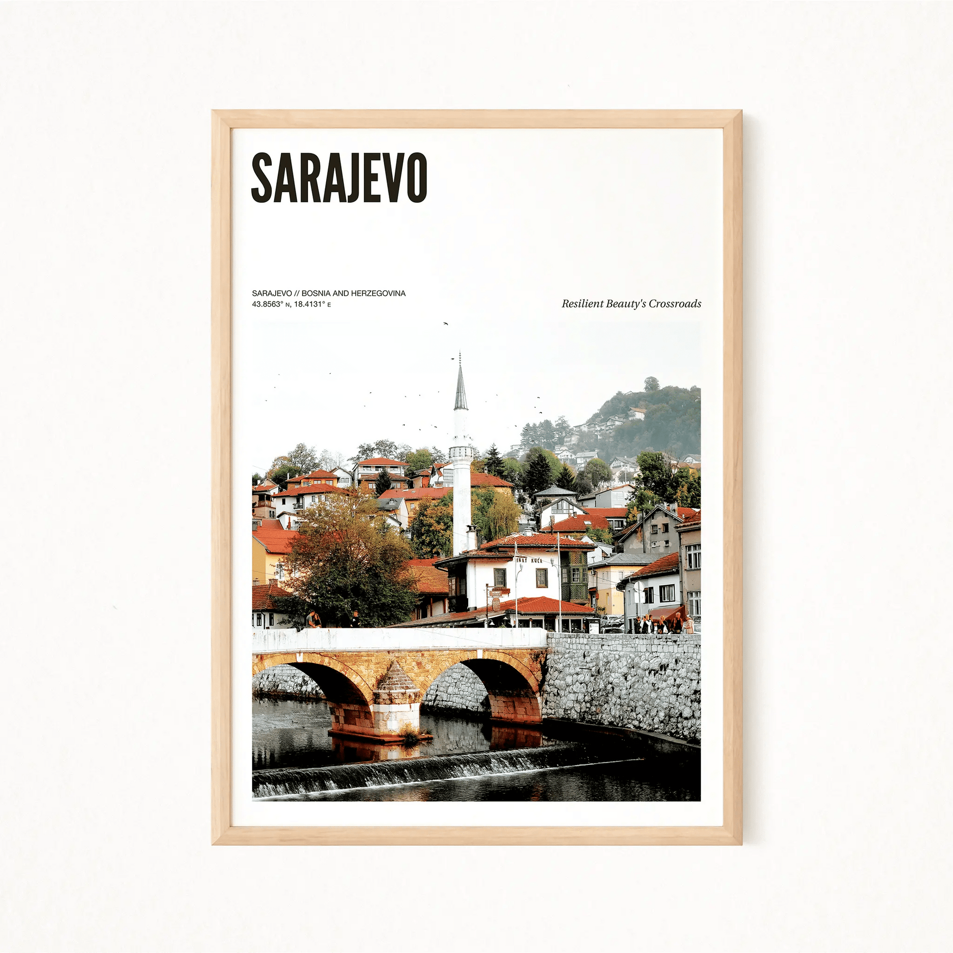 Sarajevo Odyssey Poster - The Globe Gallery