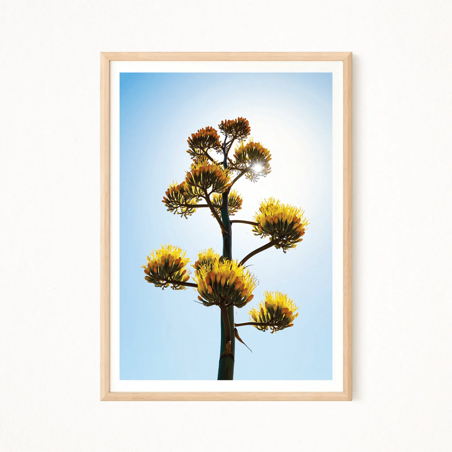 Sedona Chromatica Poster - The Globe Gallery